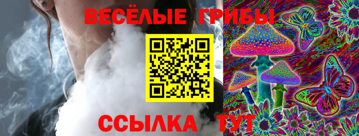 Псилоцибиновые грибы Psilocybe Дзержинск