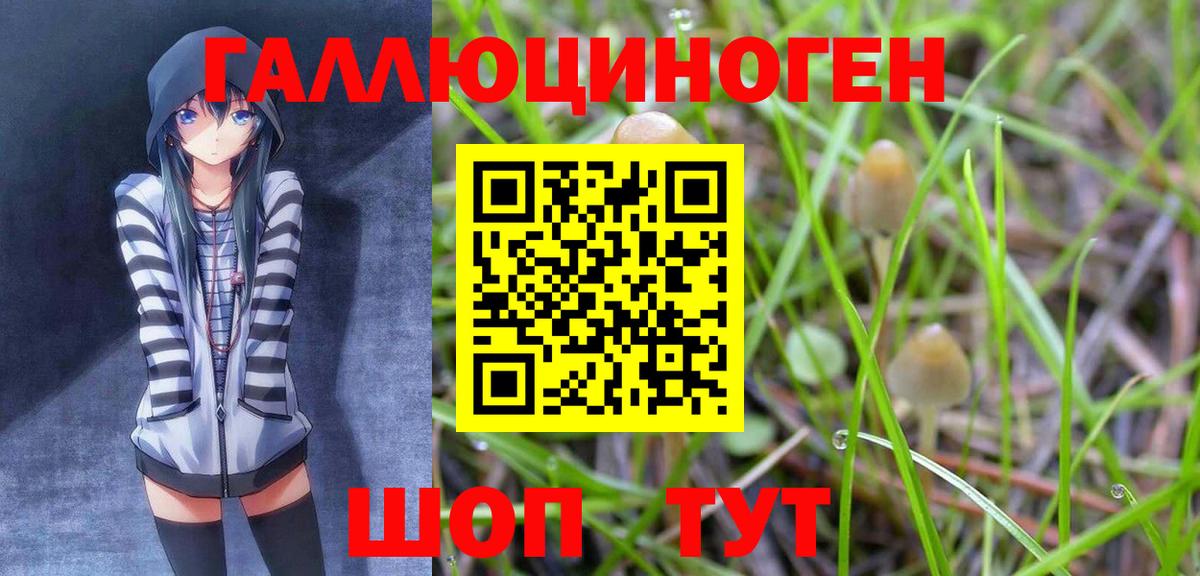 Дзержинск  Галлюциногенные грибы Magic Shrooms  Вход с VPN  купить закладку  Псилоцибиновые грибы мицелий 